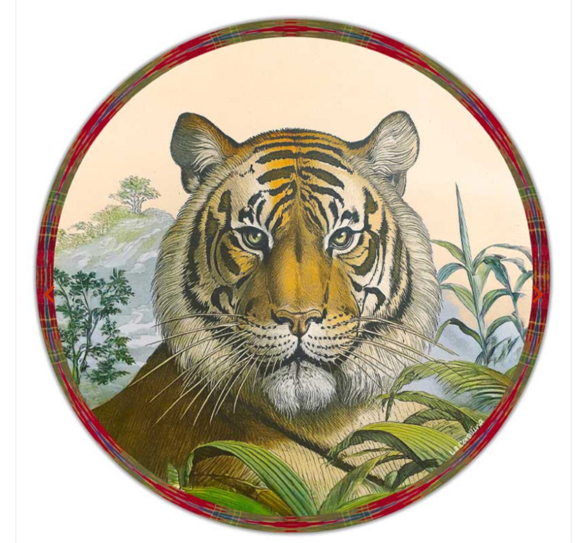 Sottopiatto Felini giungla tigre cm 34