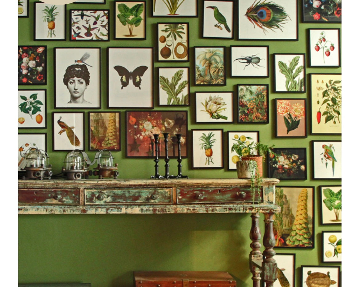 Poster with black frame Dragonfly black