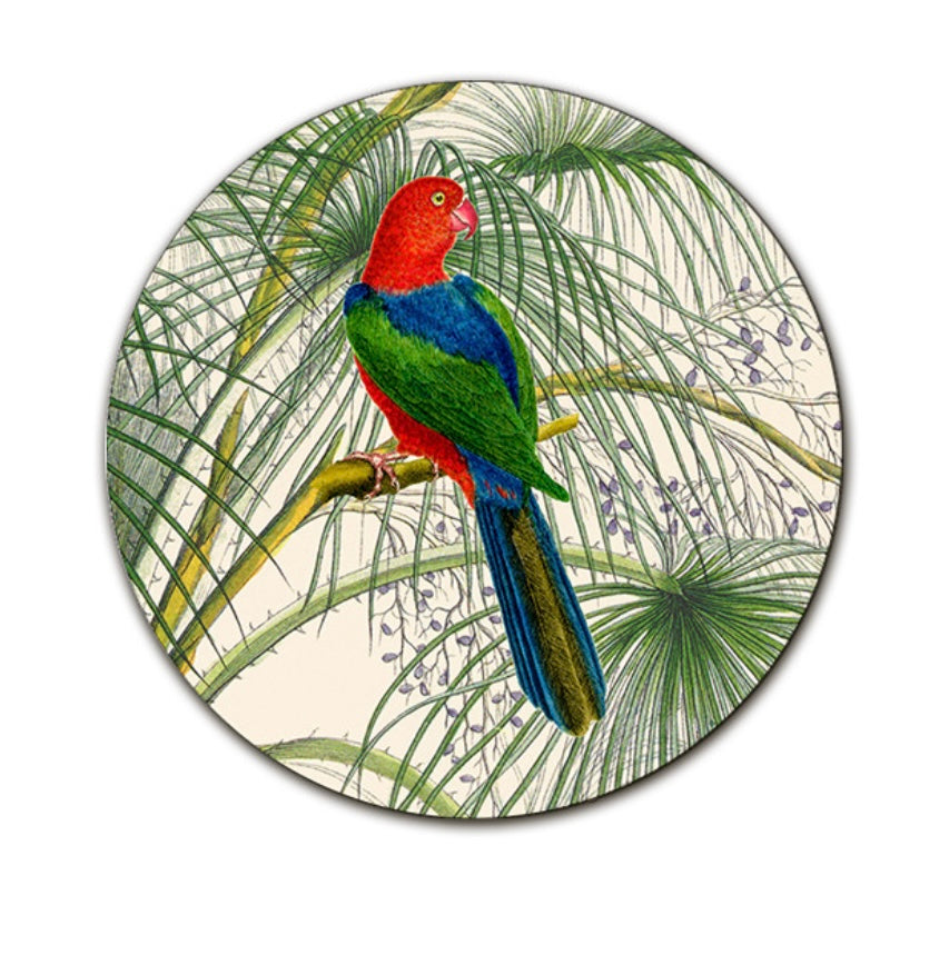 Sottopiatto pappagallo blu verde rosso di schiena