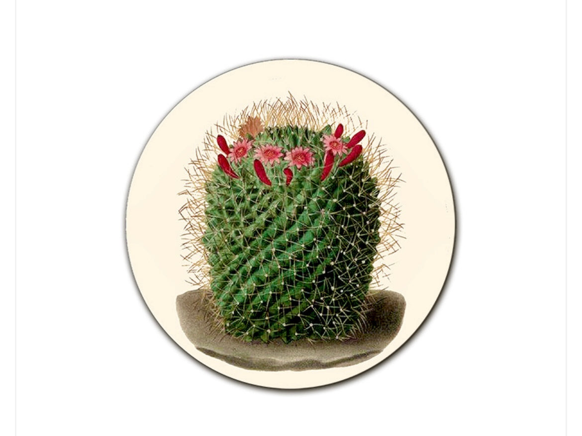 Sottopiatto Cayman cactus cm 34 fiorellini rosa