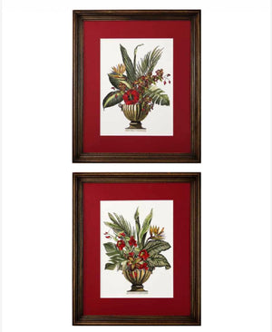 Coppia di stampe con cornice noce wange’ passepartout rosso vaso con foglie