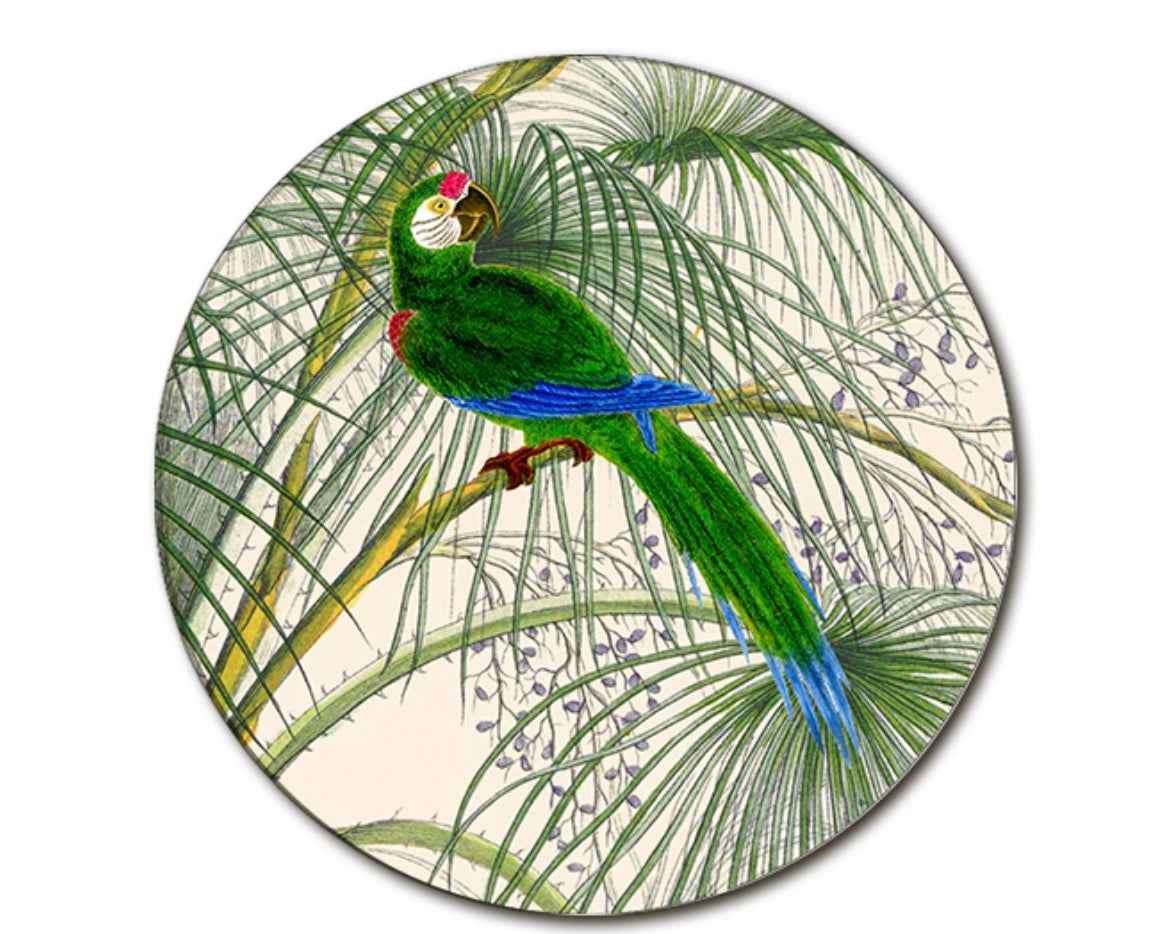 Sottopiatto Pappagallo blu
