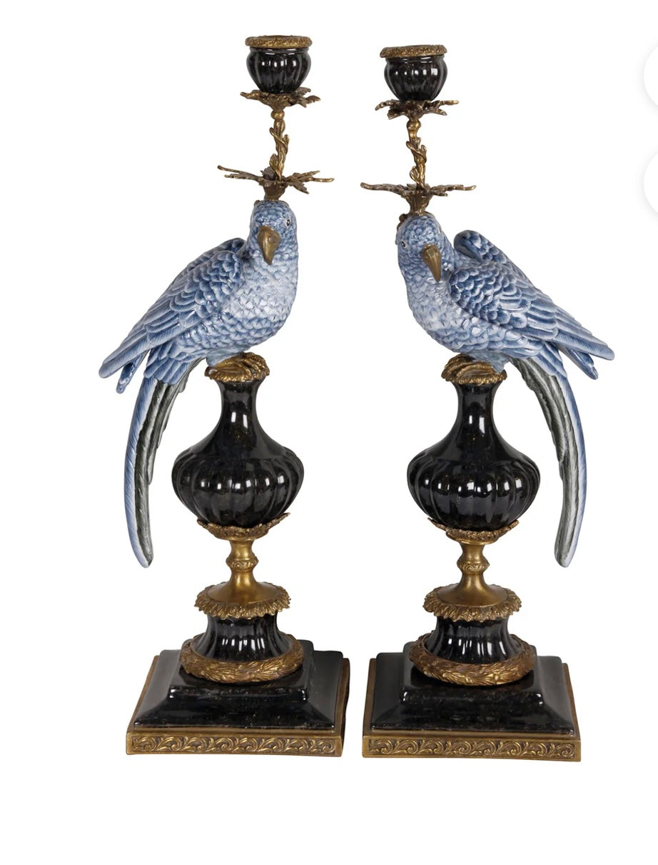 Coppia di candelieri pappagalli blu