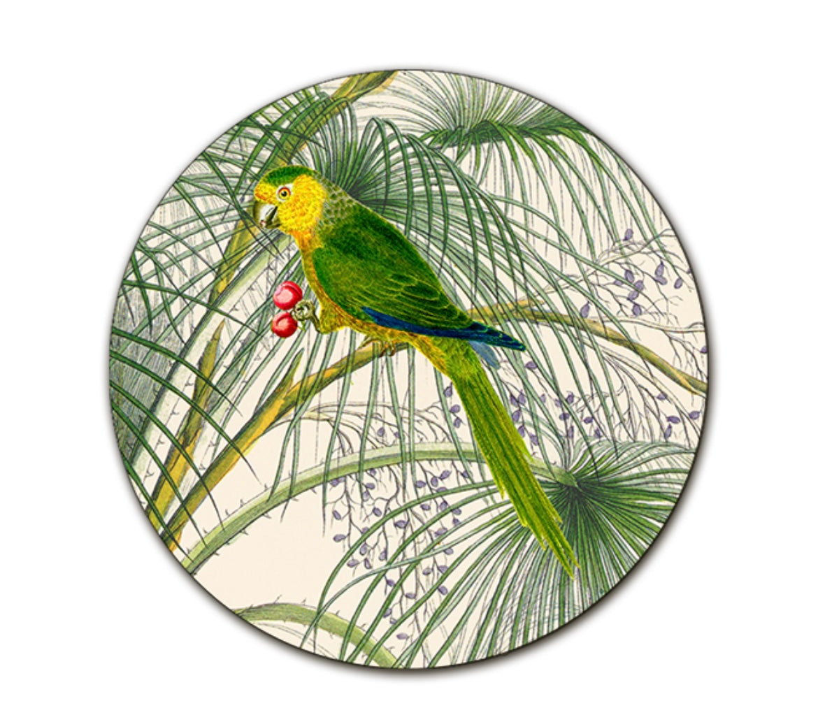 Sottopiatto Pappagallo verde e giallo