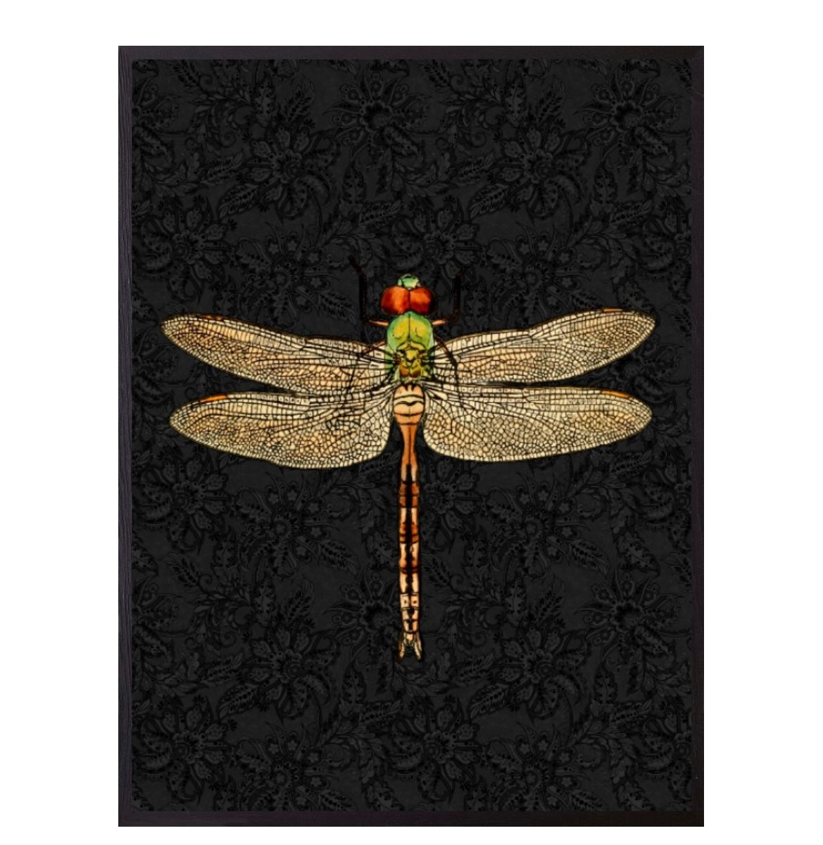 Poster con cornice nera Dragonfly black
