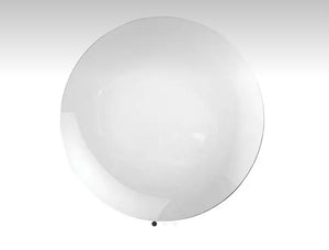 Piatto in Vetro borisilicato temperato diam 25 cm trasparente