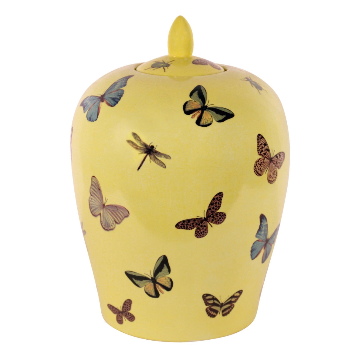 Poutige gialla con farfalle