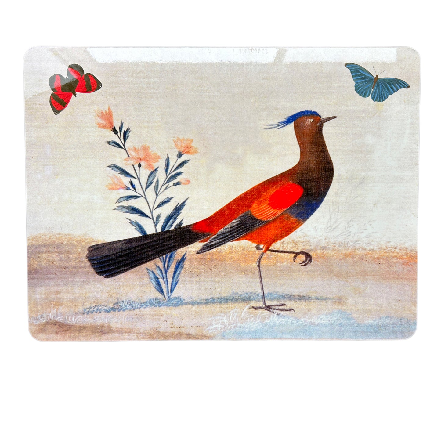 Sottopiatto rettangolare uccelli uccello blu rosso