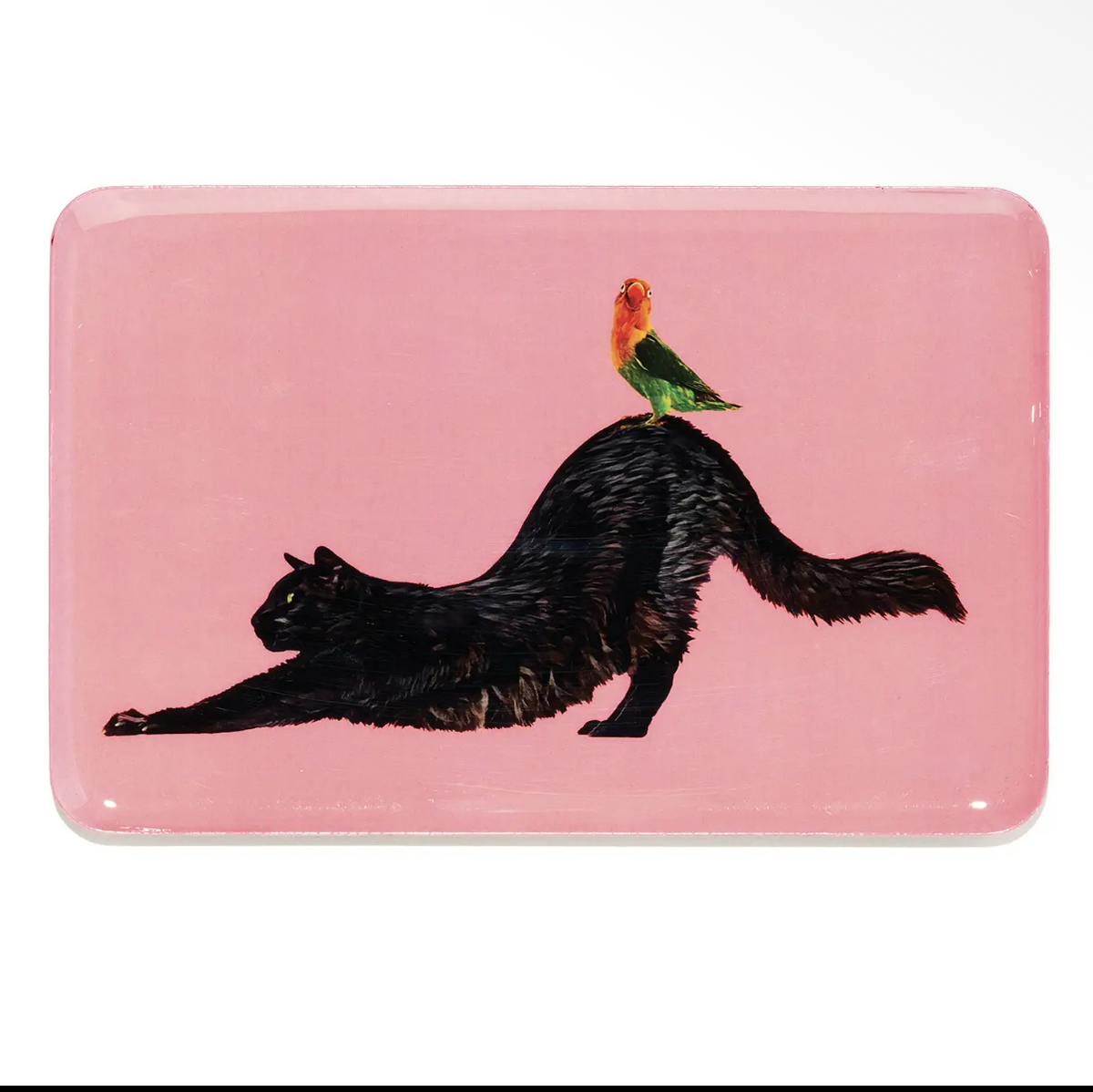 Svuota tasche Amigos