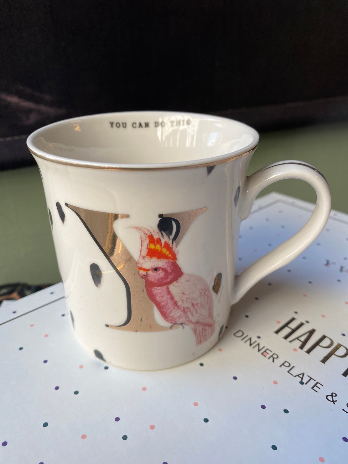 Mug lettera Y You can do this