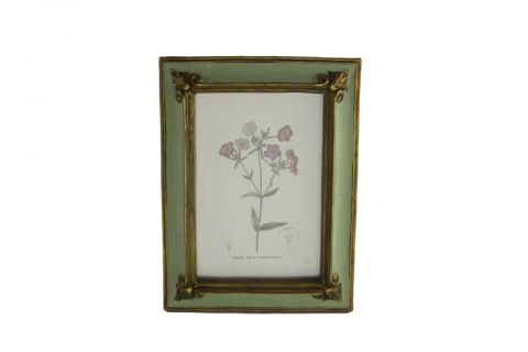 Cornice verde