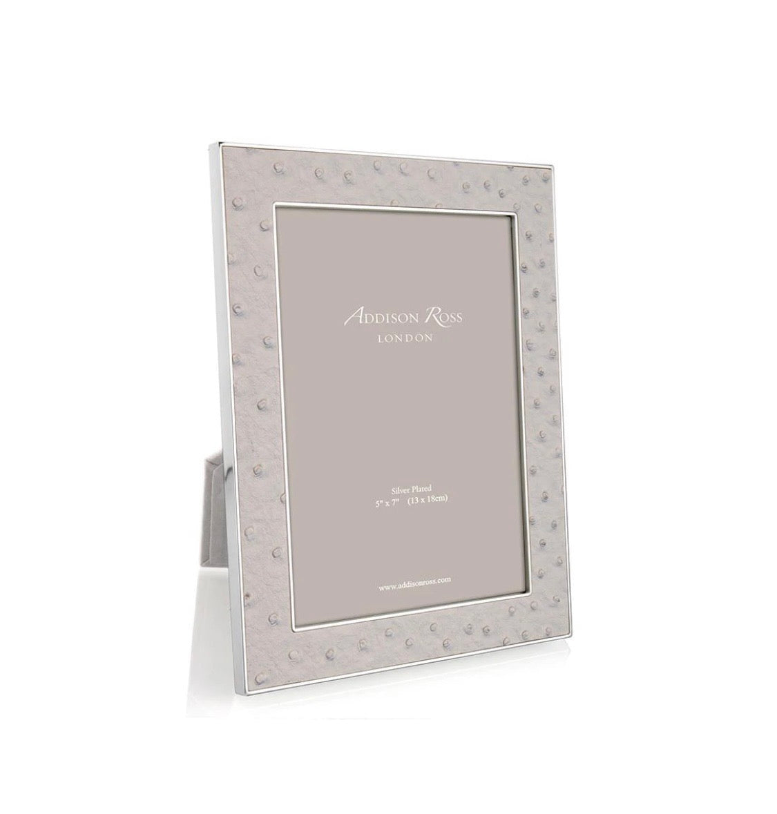 Portafoto struzzo nebbia 10 x 15 bordo argento