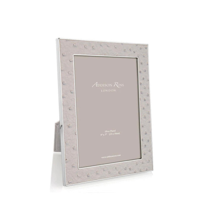 Portafoto struzzo nebbia 10 x 15 bordo argento