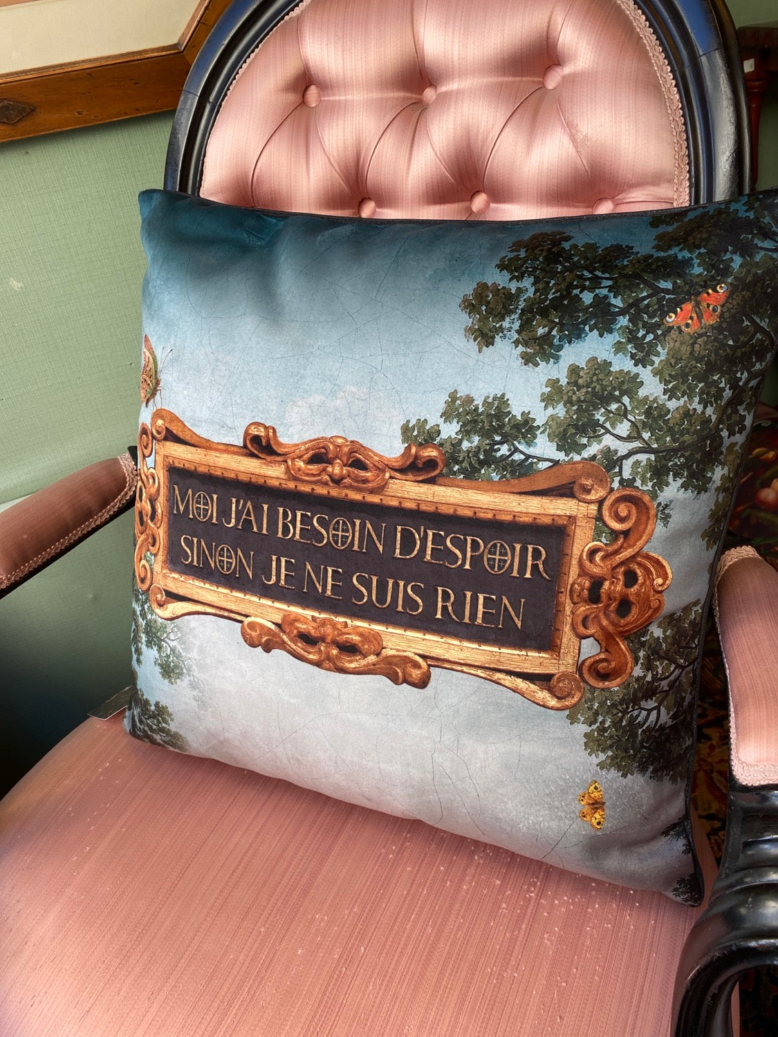 Coussin en velours Espoir avec intérieur