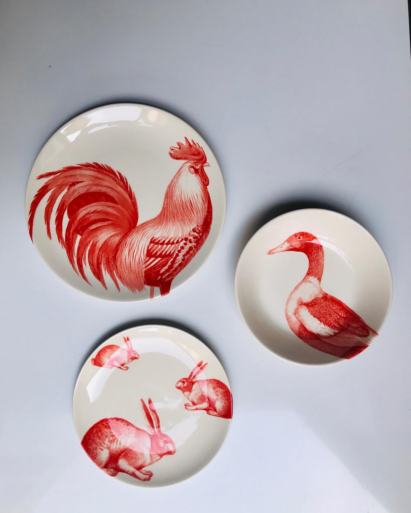 Servizio tavola " Fauna e Flora" per 6 persone