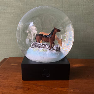Boule de neige Coolsnowglobe chevaux