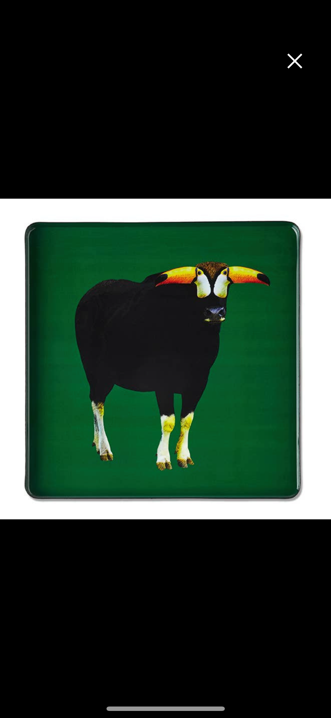 Torotoucan square tray