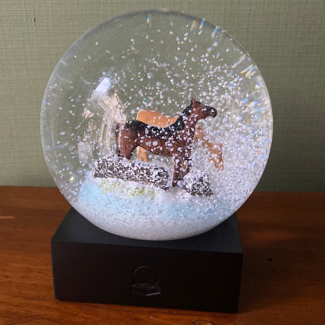 Palla di di neve Coolsnowglobe cavalli