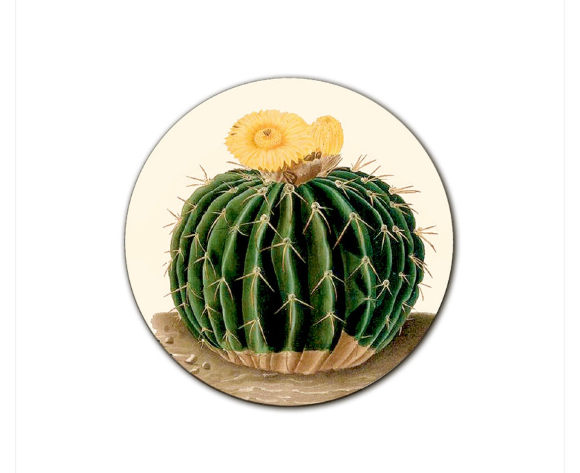 Sottopiatto Cayman cactus tondo giallo cm 34