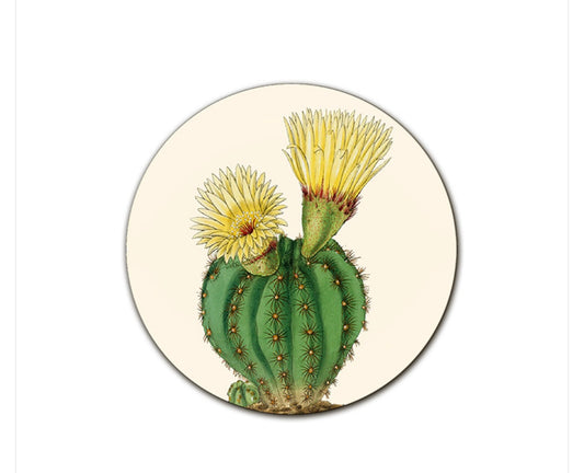 Sottopiatto Cayman cactus fiore giallo grande cm 34