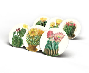 Collezione 6 sottopiatti Cactus cm 39