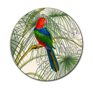 Sottopiatto pappagallo blu verde rosso di schiena