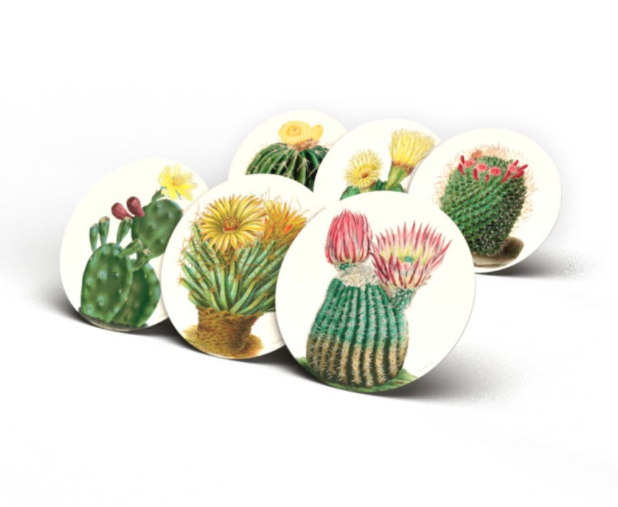 Collezione 6 sottopiatti Cactus cm34