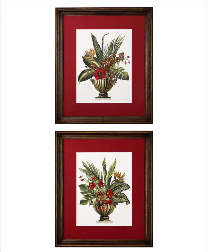 Coppia di stampe con cornice noce wange’ passepartout rosso vaso con foglie