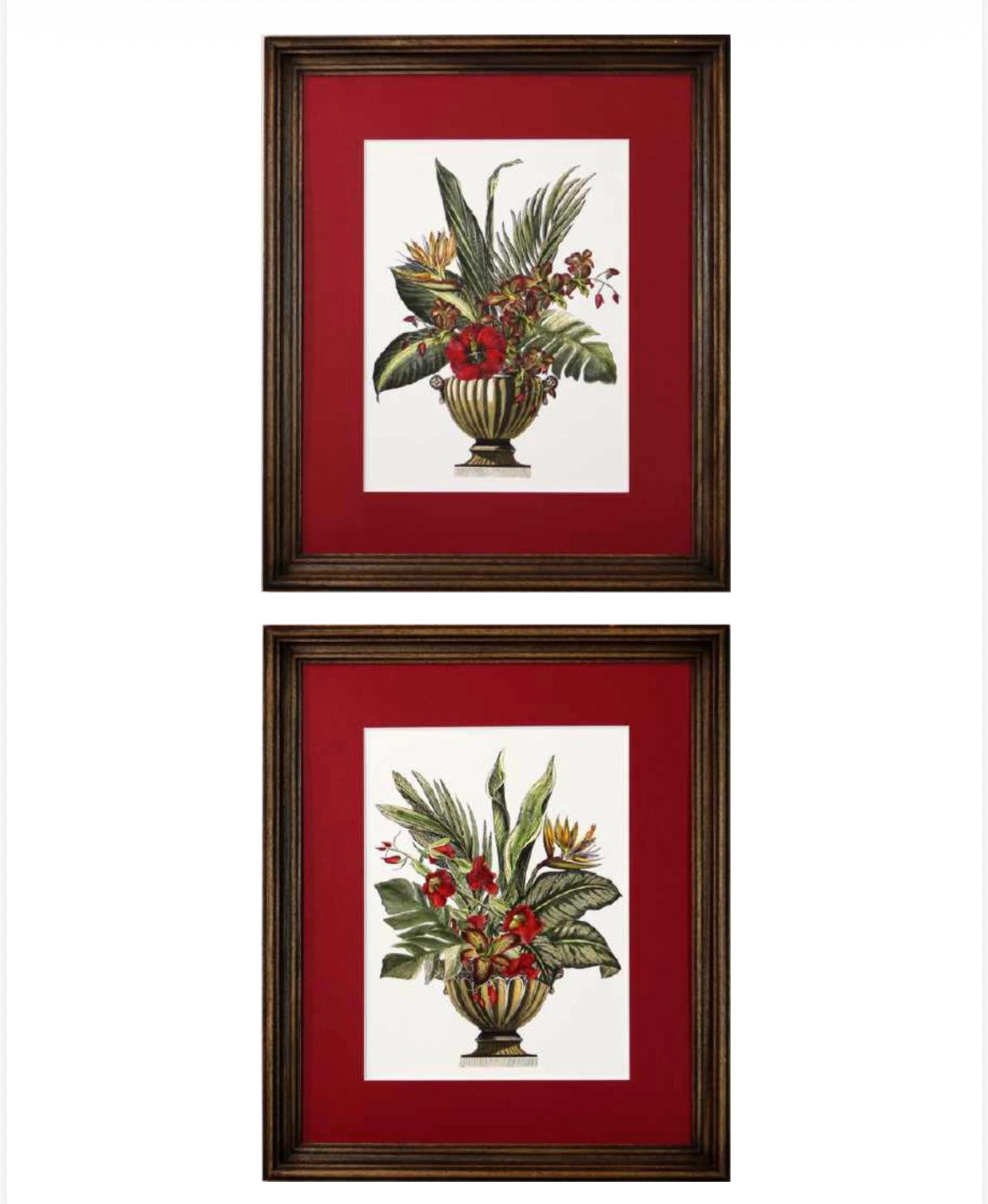 Coppia di stampe con cornice noce wange’ passepartout  rosso  vaso con foglie