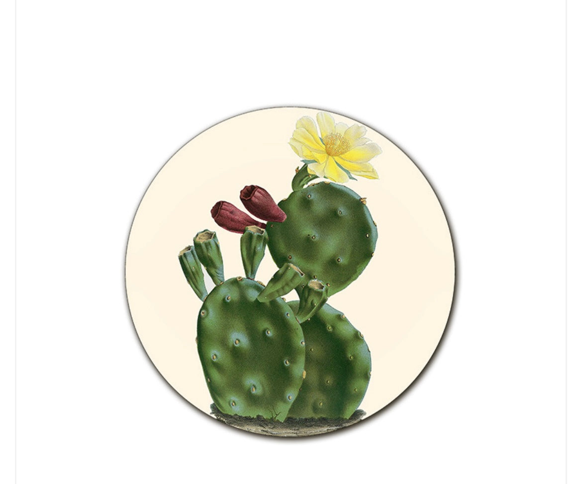 Sottopiatto Cayman cactus alto fiore giallo bocciolo cm34