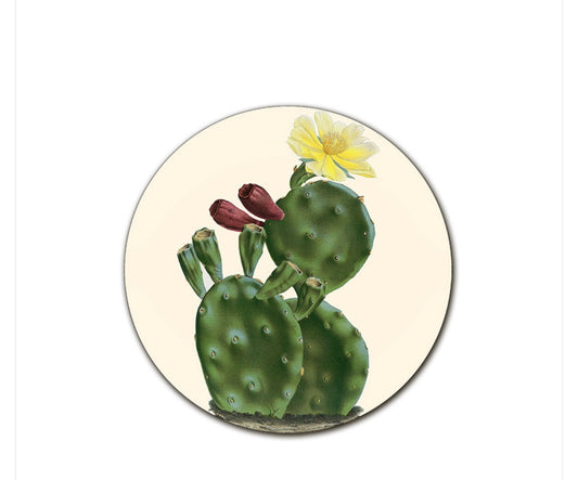 Sottopiatto Cayman cactus alto fiore giallo bocciolo cm34