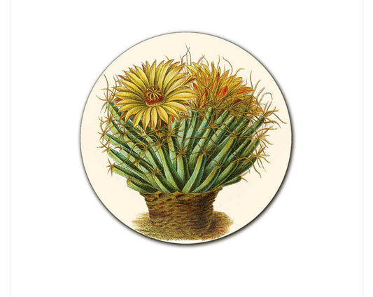 Sottopiatto Cayman cactus selvatico giallo cm 34
