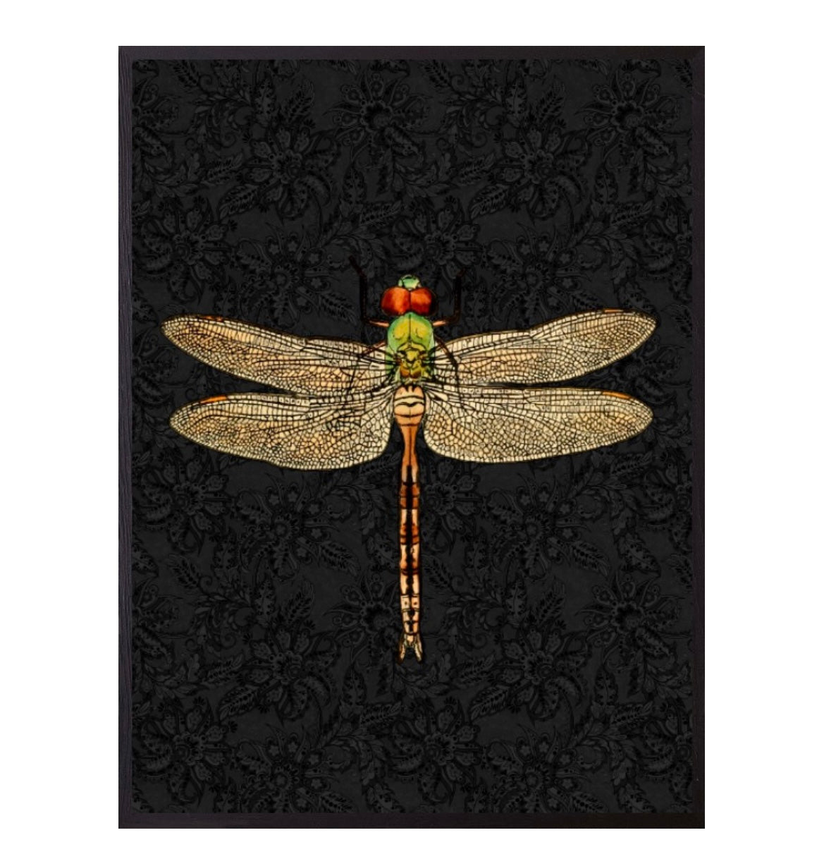 Poster with black frame Dragonfly black 