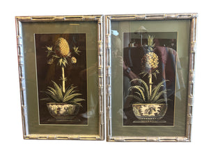 Coppia di stampe salvia ananas Vaso cornice wange’ argentata