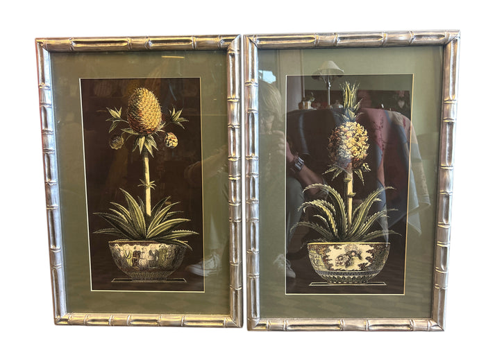 Coppia di stampe salvia ananas Vaso cornice wange’ argentata