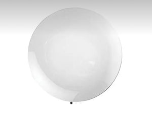 Piatto in borosilicato trasparente cm 20