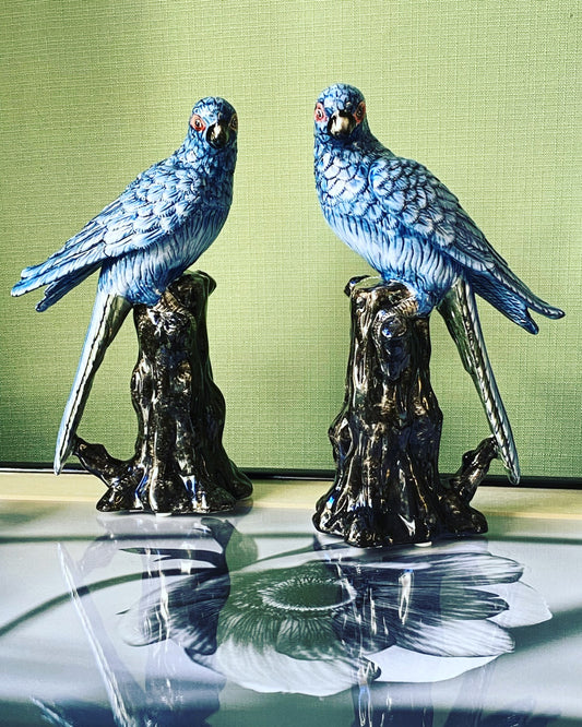 Pair of ceramic parrots