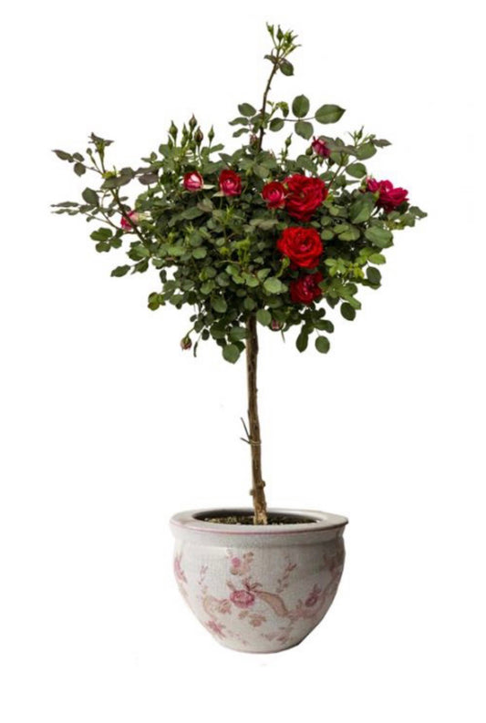 Ceramic rose vase holder