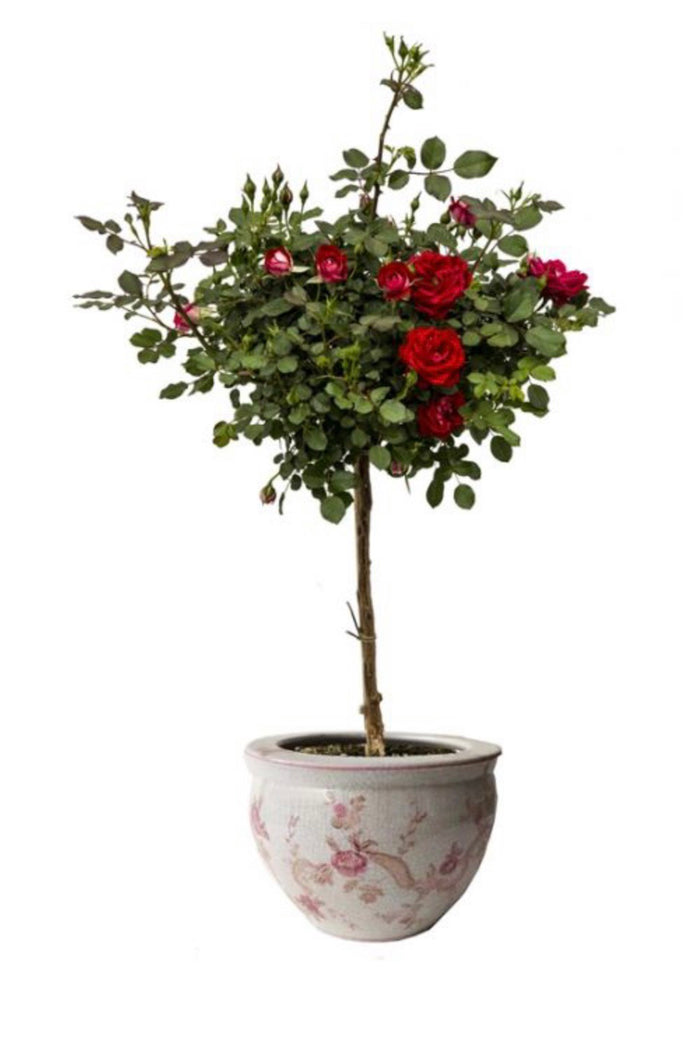 Porte-vase rose en céramique