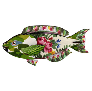 Poisson décoratif moyen blague aux algues