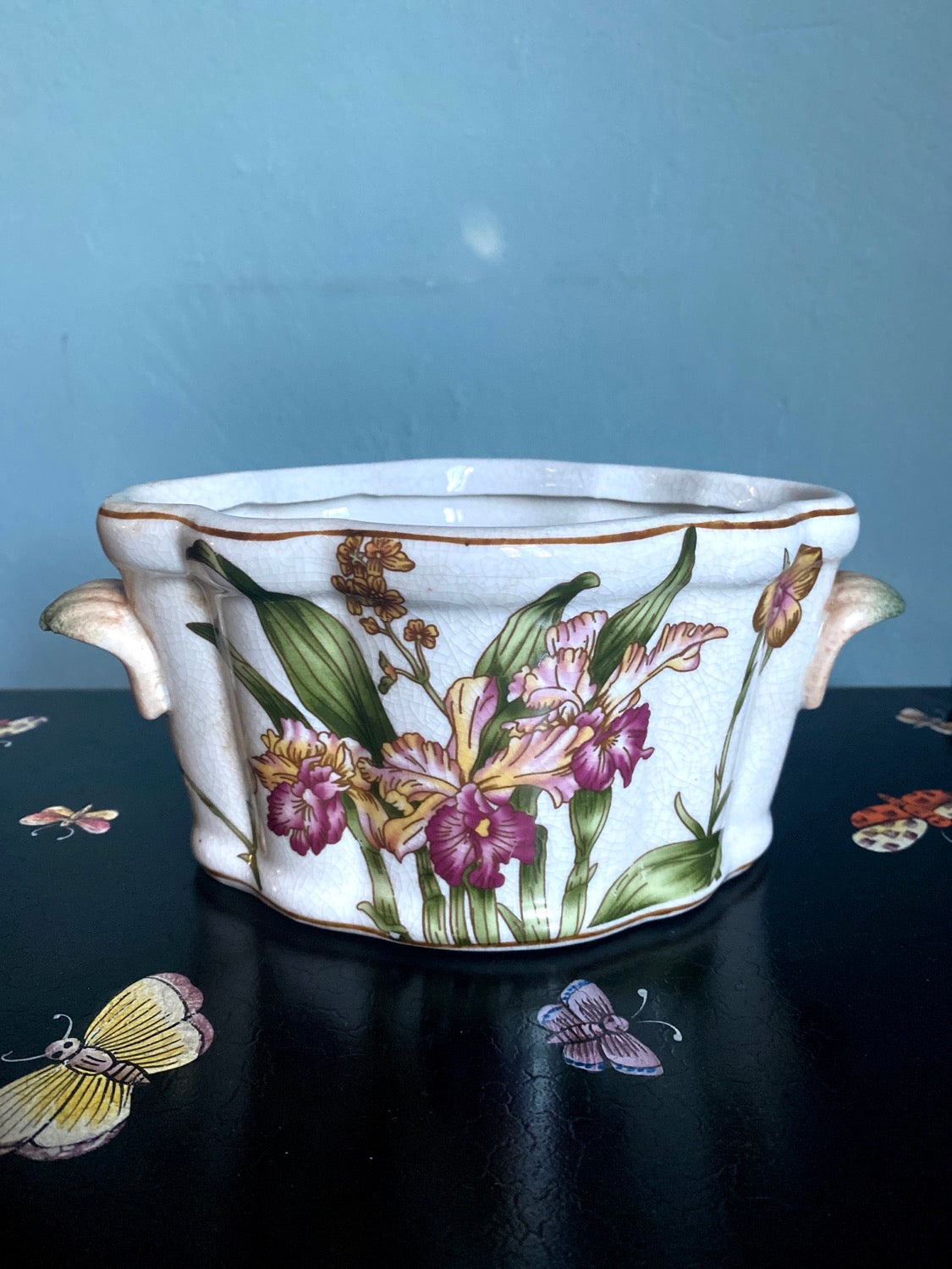 Iris plant holder cachepot