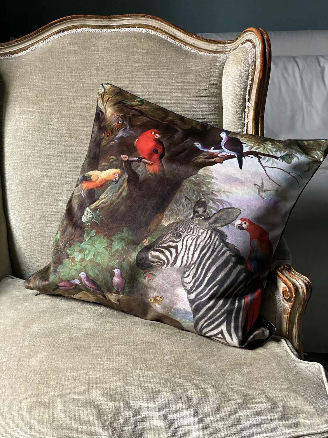 Zebra cushion and co