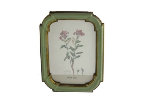 Green frame