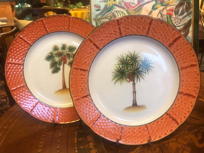 Lot de 2 assiettes 24 cm