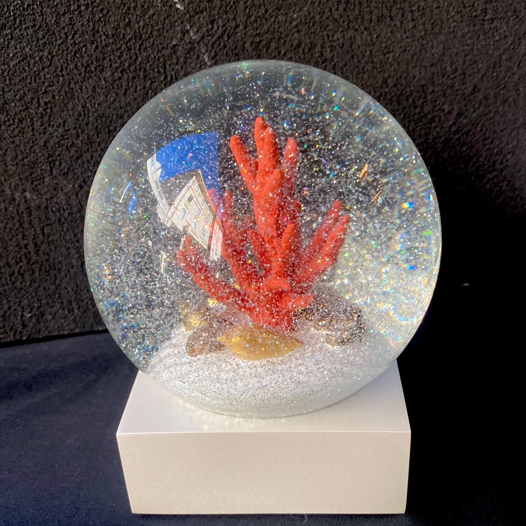 Coolsnowglobe coral glass snow globe