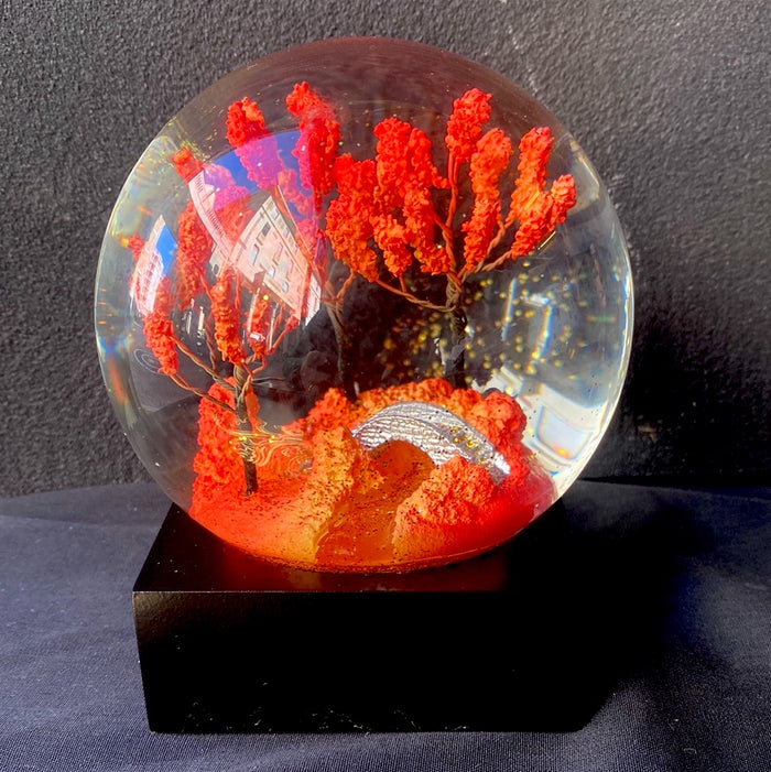 Coolsnowglobe snowball with autumn snow